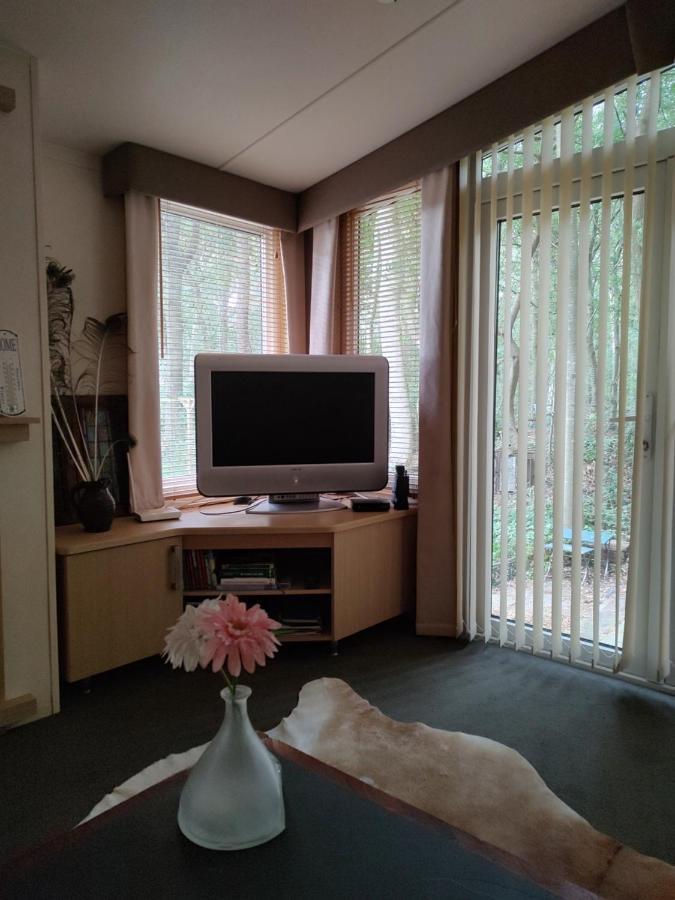 Chalet Met Veranda Aan Bosrand Vledder Εξωτερικό φωτογραφία