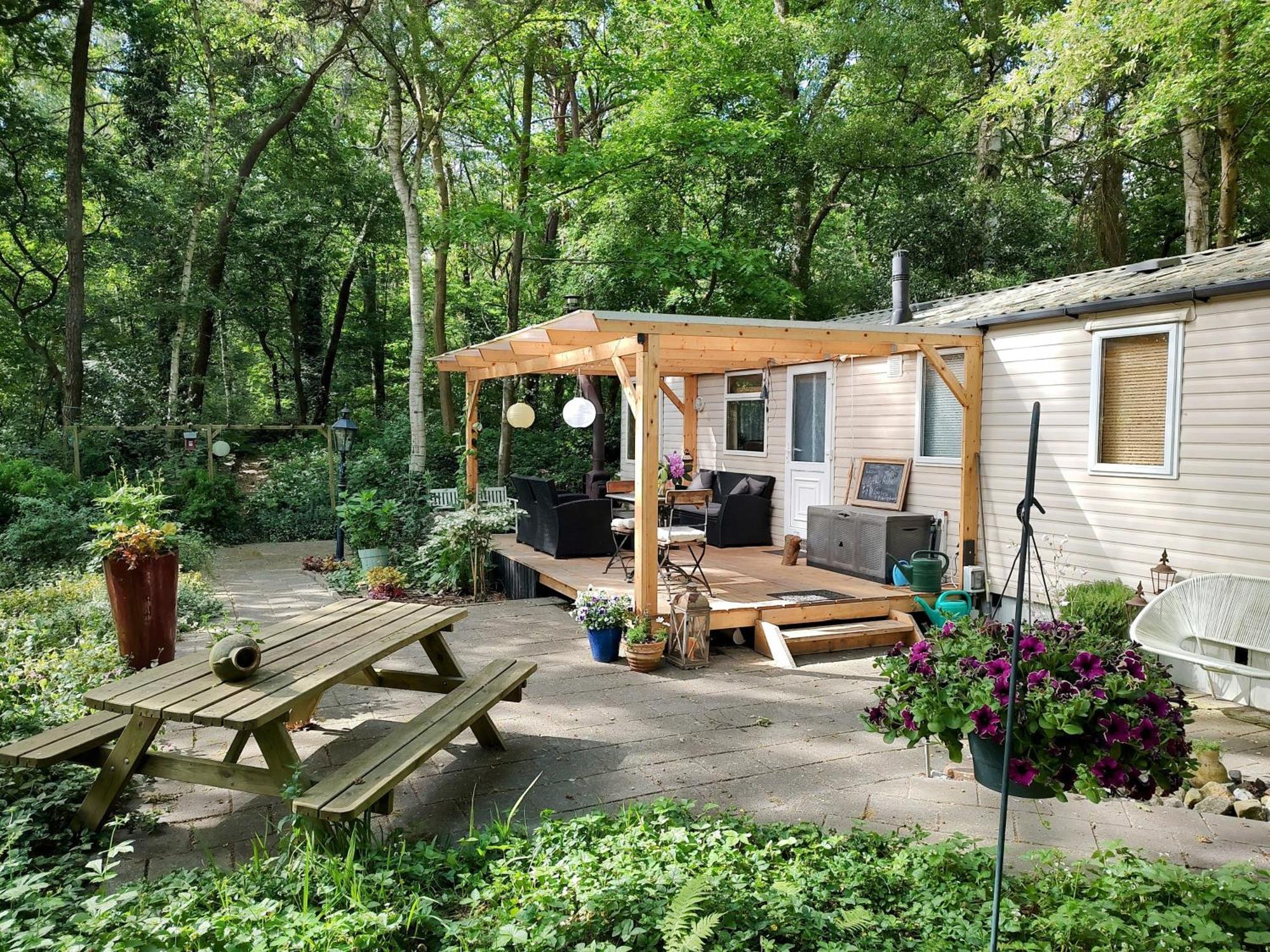 Chalet Met Veranda Aan Bosrand Vledder Εξωτερικό φωτογραφία