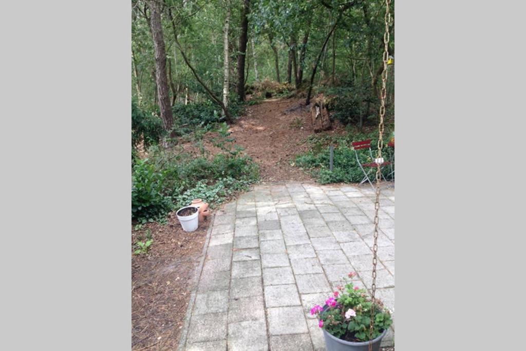 Chalet Met Veranda Aan Bosrand Vledder Εξωτερικό φωτογραφία